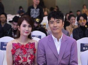 最新爆料张丹峰洪欣,最新爆料揭秘夫妻关系疑云